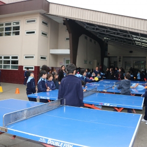 Día de la Actividad Física